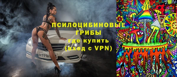 хмурый Алексеевка